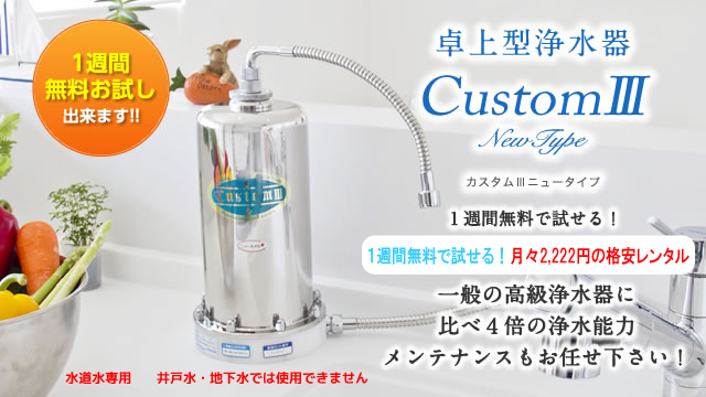 カスタム ニュータイプ 日本シンクマスター